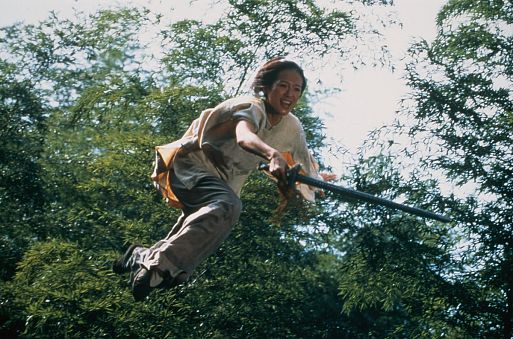 8. Крадущийся тигр, затаившийся дракон / Wo hu cang long (2000)