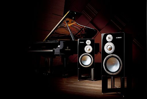 Трёхполосные акустические системы NS-5000