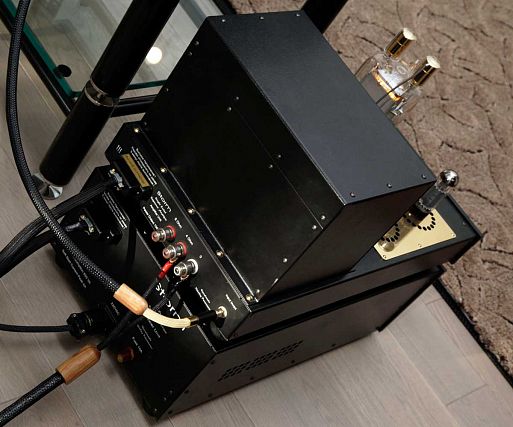 Авторская система Леонида Бурцева «Триумф»