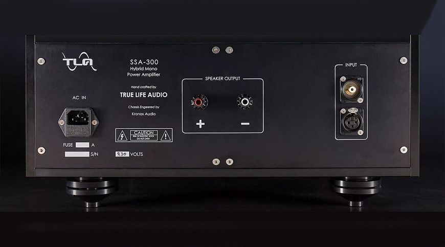 TrueLife Audio SSA-300 — гибридный моноблок из Греции