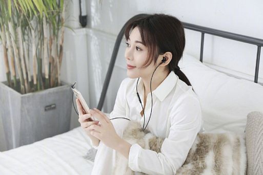 Xiaomi Dual-Unit Half-Ear