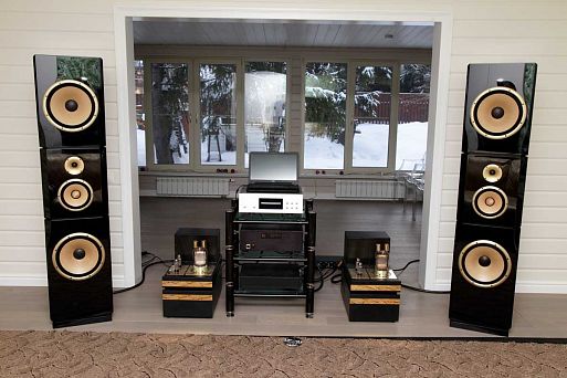 Авторская система Леонида Бурцева «Триумф»