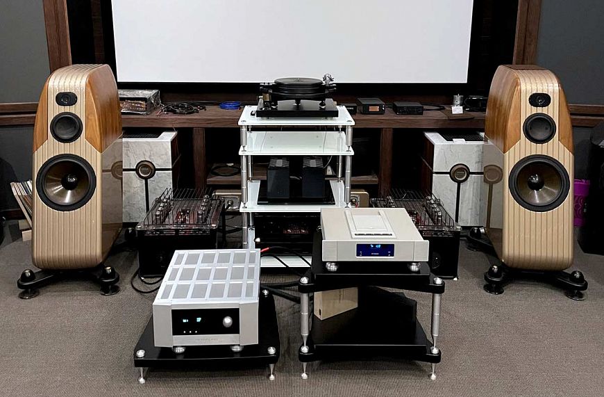 Интегральный усилитель Bladelius ODEN