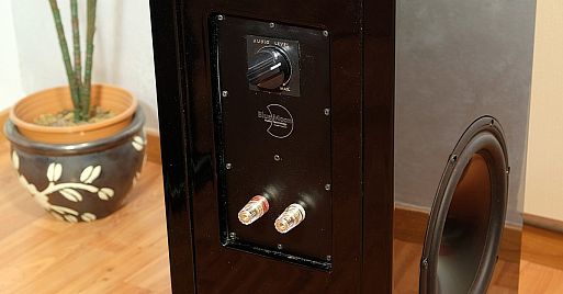 Bluemoon Audio Technology ML W