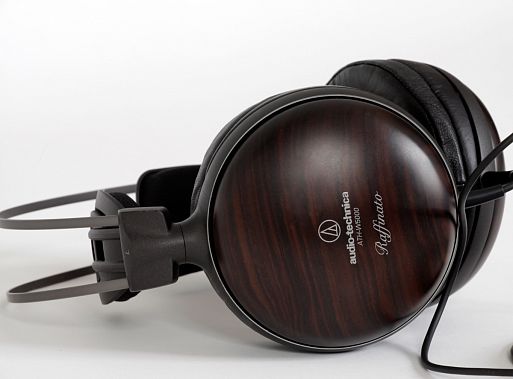 Накладные наушники Audio-Technica ATH-W5000