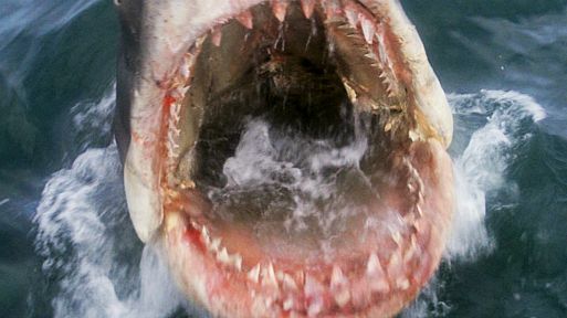 «Челюсти» / Jaws (1975)
