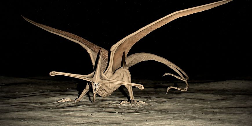 8. Слепые монстры – «Черная дыра»