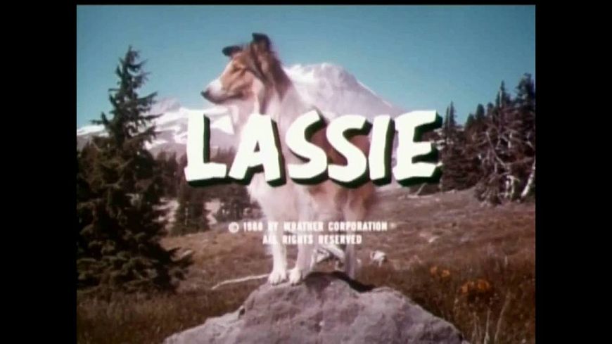 Лэсси / Lassie (1954-1973)