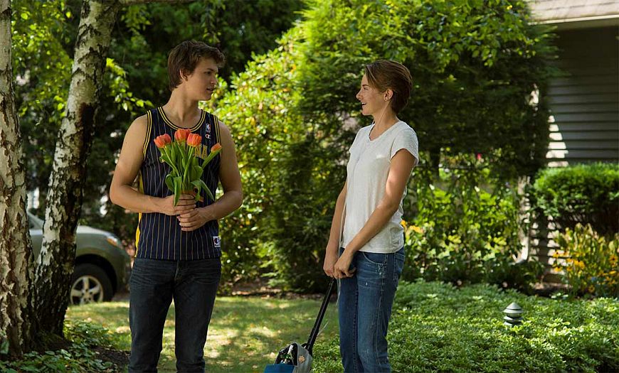 Виноваты звезды / The Fault in Our Stars (2014)