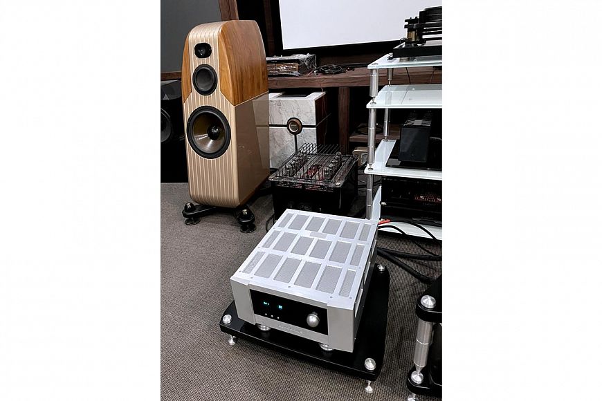 Интегральный усилитель Bladelius ODEN