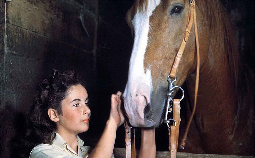 Элизабет Тейлор