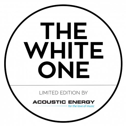 Полочные акустические системы Acoustic Energy AE 100