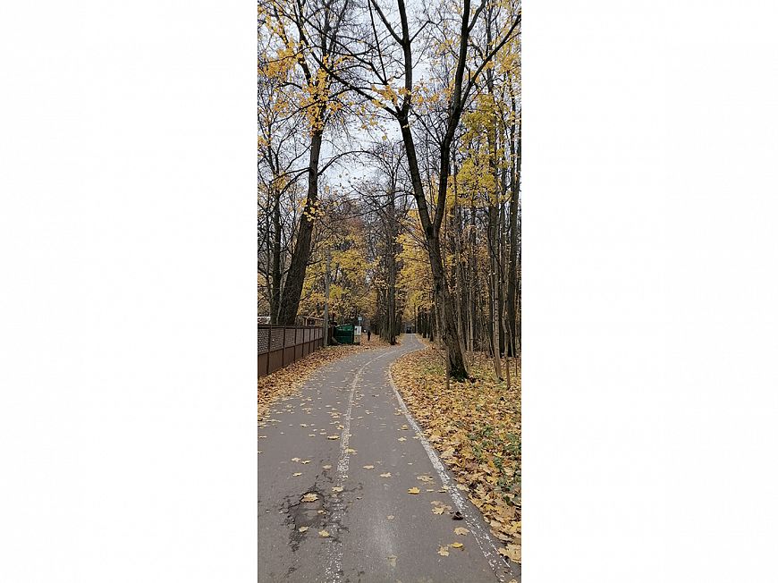 Смартфон HONOR 10X Lite