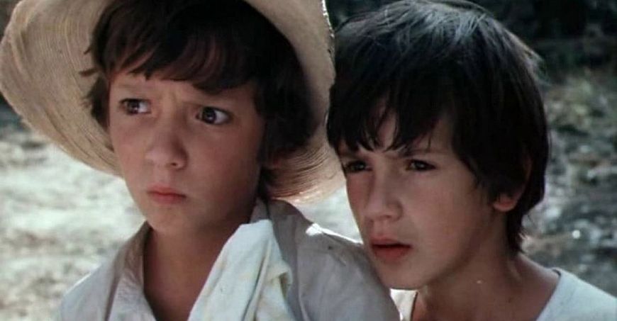 Каникулы Петрова и Васечкина, обыкновенные и невероятные (1984)